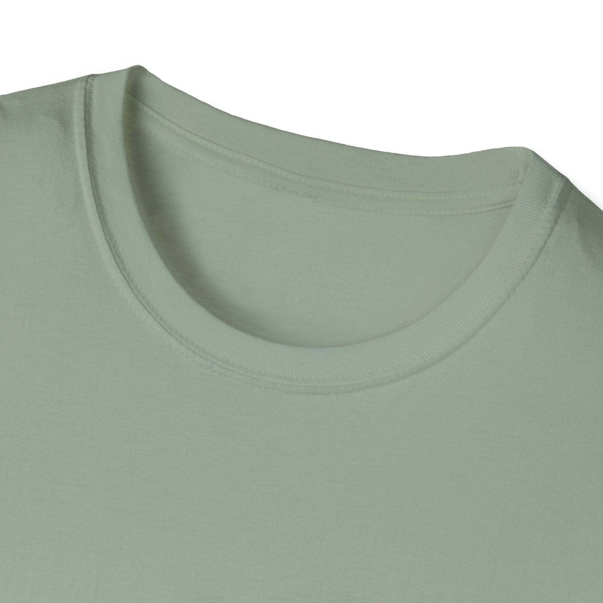 Professional Musician T-Shirt