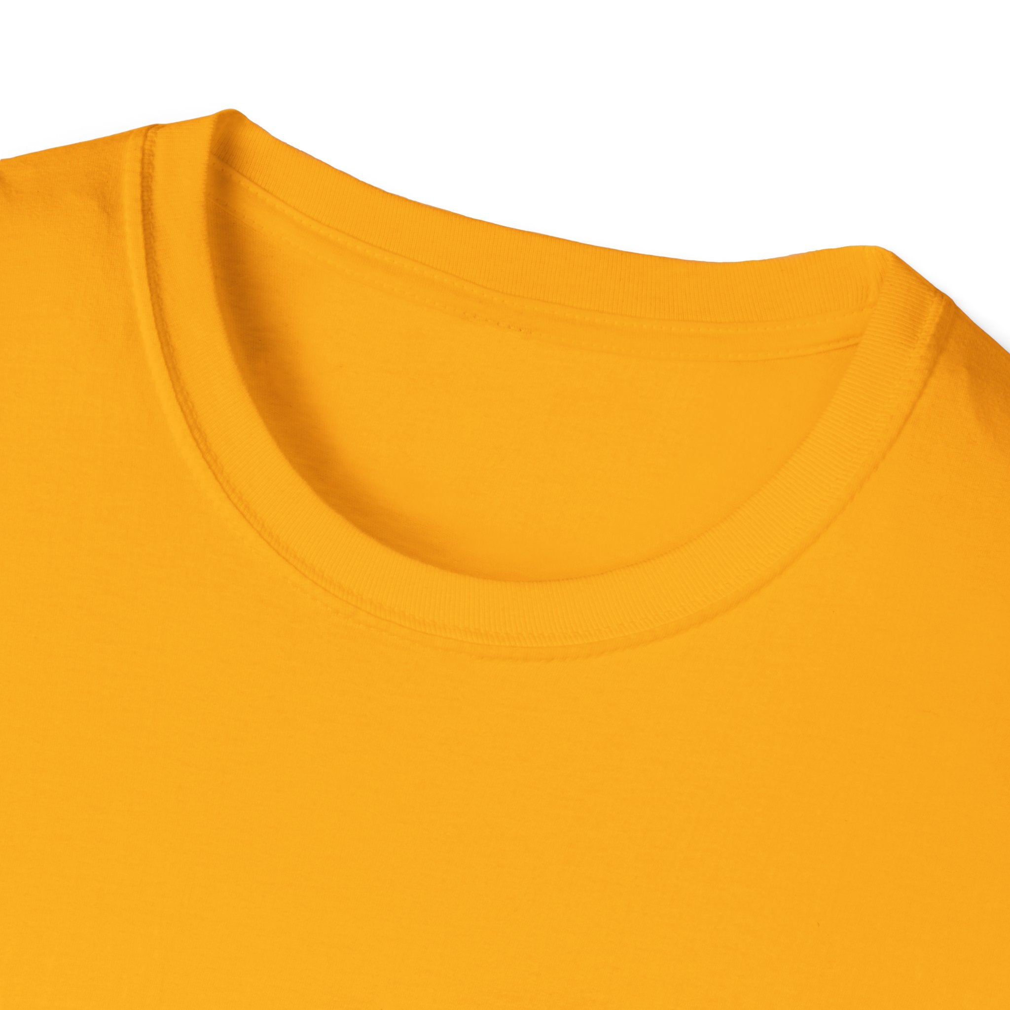 Professional Musician T-Shirt
